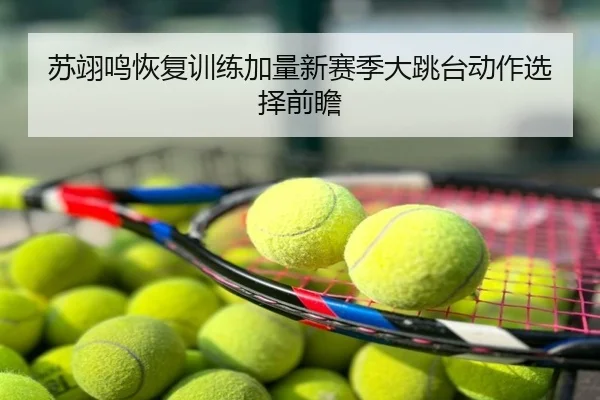 苏翊鸣恢复训练加量新赛季大跳台动作选择前瞻